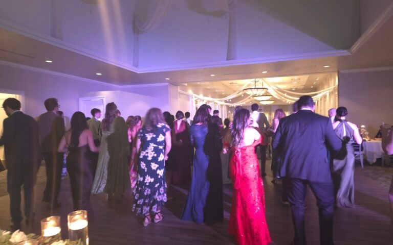 Professional wedding DJ and MC in Fishers Indiana