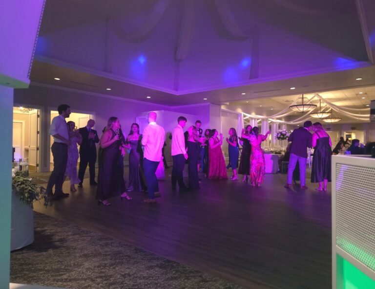 Professional wedding DJ performing at a wedding reception